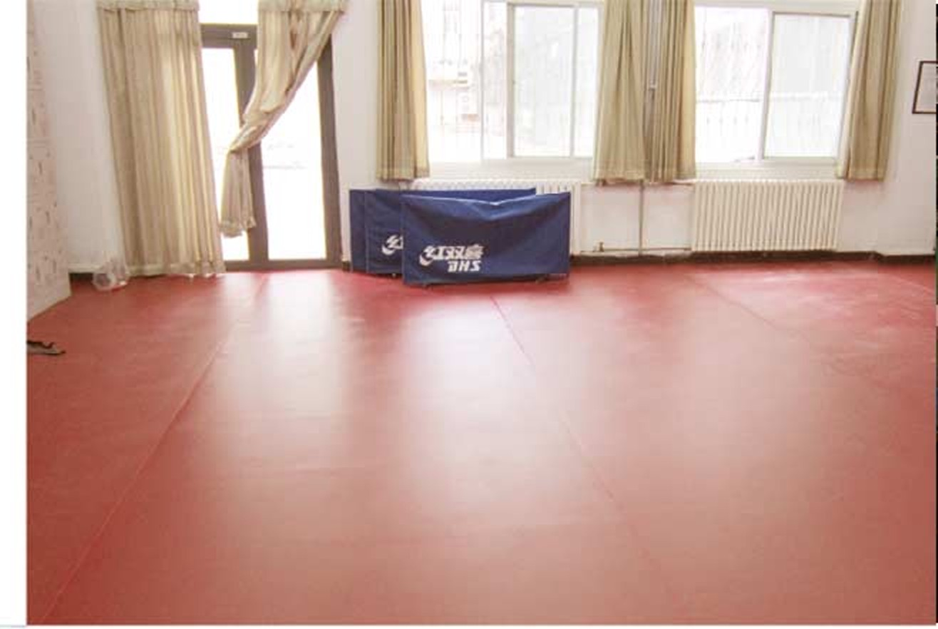 北京師范大學(xué)地理與遙感學(xué)院|運(yùn)動地膠